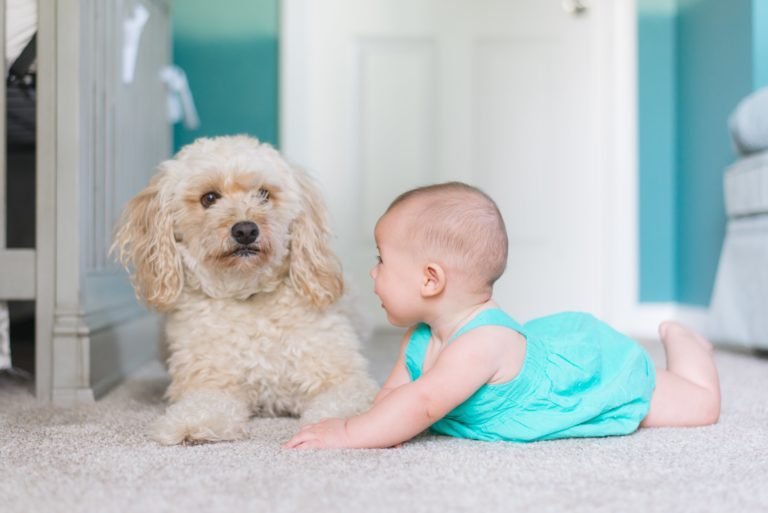 baby and her dog laying on carpet