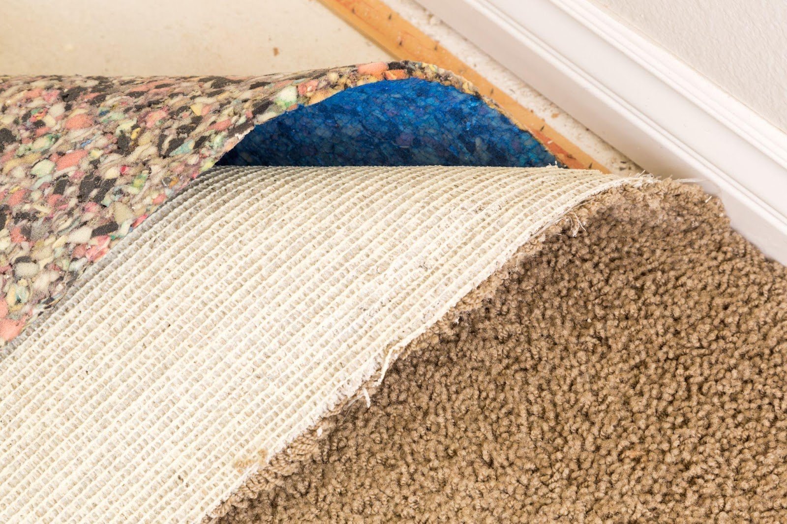 What is Carpet